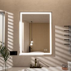 a bathroom sink with a mirror above it and a plant on the counter in front of it