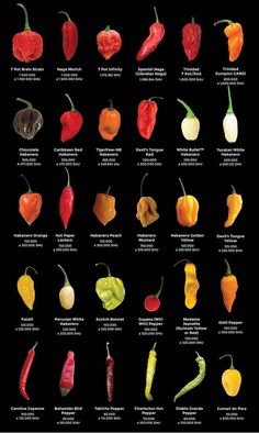 an image of different types of peppers