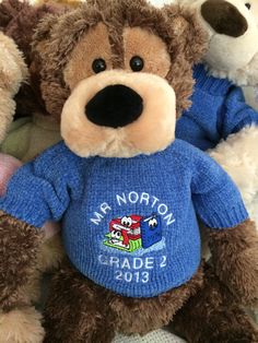 two teddy bears sitting next to each other wearing blue shirts with mr north middle school on them