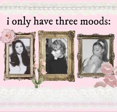 two framed pictures with pink roses and the words, i only have three mods