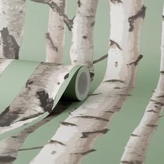 a wallpaper with white birch trees and green paper on the bottom half of it