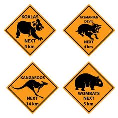 four warning signs depicting animals and kangaroos in different sizes, all written in black on yellow