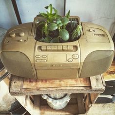 an old radio with plants growing out of it