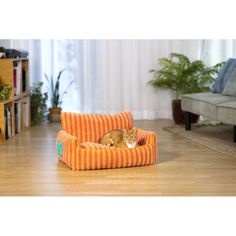 a cat is sitting on an orange striped couch in the middle of a living room