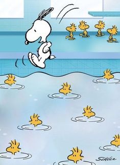 a cartoon dog is swimming in the pool with ducks