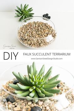 two pictures showing different types of succulents in glass bowls with rocks and pebbles