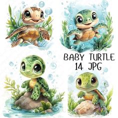 baby turtle cliparts for digital scrapbooking