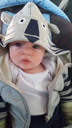 a baby in a car seat wearing a hat with a tiger on it's face