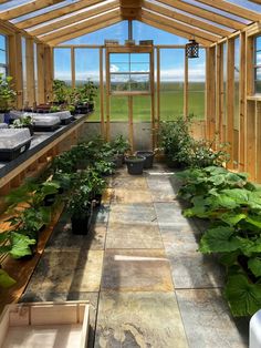 the inside of a greenhouse with lots of green plants in pots and potted plants