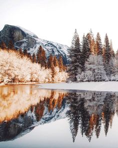 a lake surrounded by trees covered in snow