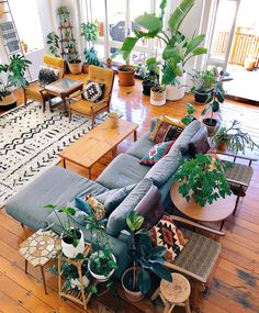 a living room filled with lots of furniture and plants on top of wooden flooring