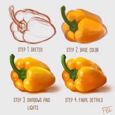 step by step instructions on how to draw peppers for beginners, including the steps in drawing