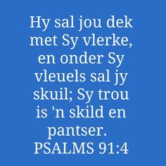 a blue background with white text that says, hey sal jou dek met sy ve