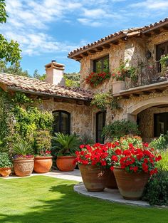 a house with many potted plants in front of it