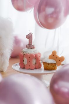 #bolodecachorro #dog #doglovers #dogcookies #handmade One Year Dog Birthday, Dog Birthday Present Ideas, 1 Year Dog Birthday, Dog Birthday Photoshoot Ideas At Home, Dog Birthday Theme Ideas, Dogs Birthday Ideas, Dogs First Birthday Ideas, Dogs First Birthday, Dog Birthday Photoshoot