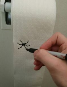 a person holding a marker in front of a toilet paper roll with a bug drawn on it