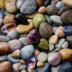 a painting of rocks and shells on the ground