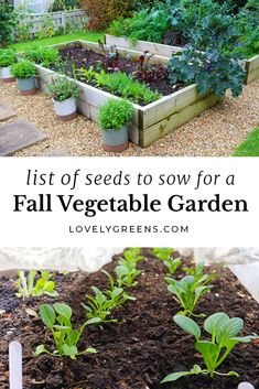 a garden with lots of vegetables in it and the words, list of seeds to sow for a fall vegetable garden