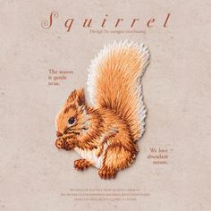 an image of a squirrel on the cover of a magazine or brochure with information about it