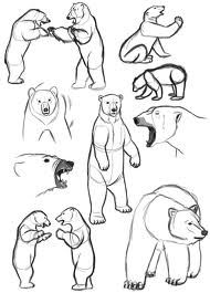 an image of polar bears in various poses