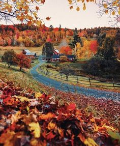 a country road surrounded by autumn foliage and trees with colorful leaves on the ground in front of it