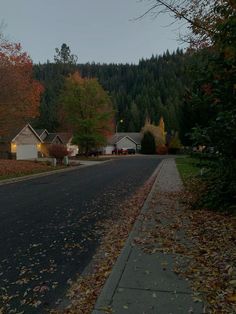 an empty street with houses in the background and trees on both sides at night time