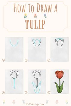 Step by step images demonstrating a How to Draw a Tulip - A Drawing Tutorial for Children! Draw A Tulip, Tulip Drawing