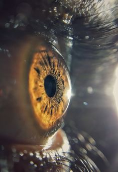 an extreme close up shot of the iris of someone's eye looking into the distance