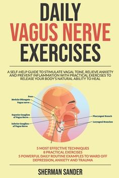 Are you looking for a self-help guide to stimulate vagal tone, relieve anxiety, and prevent inflammation? If yes, then keep reading..Our parasympathetic nervous system and the vagus nerve specifically, play a crucial part in how we feel physically and emotionally. We rely on the vagus nerve to be a feedback loop to the brain, to alert the central nervous system to any ongoing issues. Discomfort is our body's way of telling us something isn't quite right, and your vagus nerve is a significant com Nerve Exercises, Vagal Tone, Nerf Vague, Parasympathetic Nervous System, Sciatic Nerve Pain, Sciatic Nerve