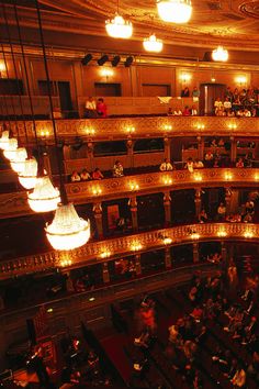 an auditorium filled with people and chandeliers