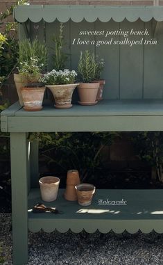 potted plants are sitting on a bench outside