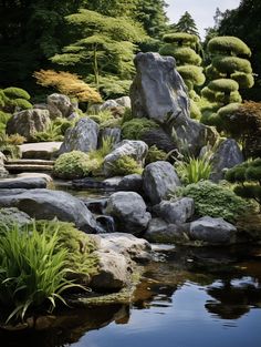 a small pond surrounded by rocks and plants