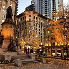 the city is lit up at night with autumn leaves on the ground and buildings in the background