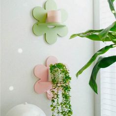 some plants are hanging on the wall next to a potted plant and a white vase