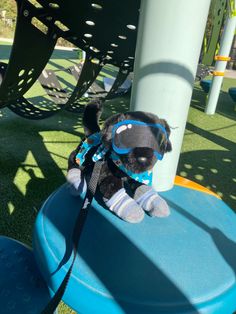 a teddy bear wearing goggles sitting on top of a blue bench at a playground