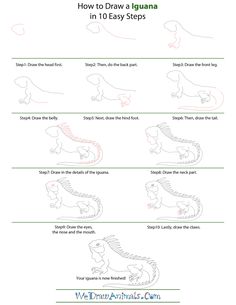 how to draw a cartoon alligator step by step instructions for children and adults in 10 easy steps