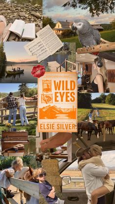 collage of photos with people and animals in the background, including an orange sign that says wild eyes