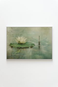 a white flower floating on top of a body of water next to a green plant