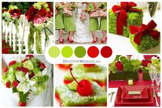 red, green and white wedding color palettes with cherry in the center surrounded by flowers