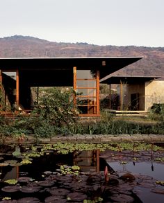 the house is surrounded by water lilies