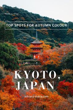 the top spots for autumn in tokyo, japan