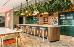 a bar with several stools and plants hanging from the ceiling