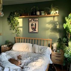 a dog laying on top of a bed in a room with green walls and plants