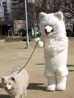 a white bear walking on a leash next to a dog with words written in it