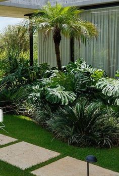 a lush green yard with trees and plants