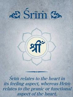 the srin symbol is shown in blue and white on a gray background with an inscription below it