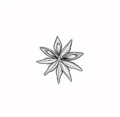 a black and white drawing of a flower