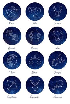 twelve zodiac signs in the night sky