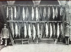 two men standing in front of a display of fish