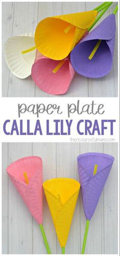 paper plate calla lily craft for kids to make with the help of their mother